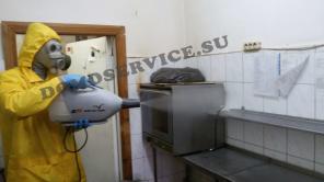 Уничтожение тараканов блох, клопов в Керчи