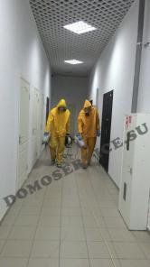Организация санитарных работ по Крыму